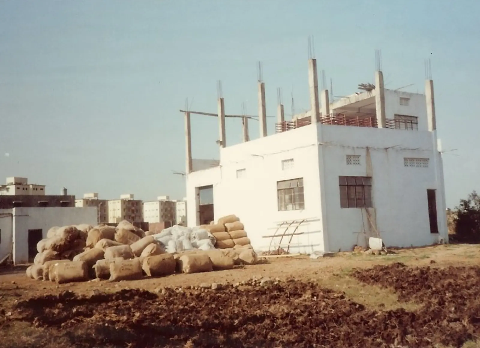 1984 — where it began